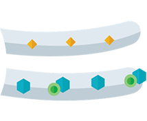 JATENZO passing into the intestinal lymphatic system